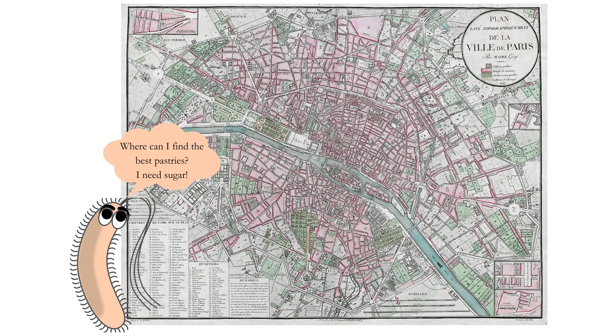 MicroMap illustration