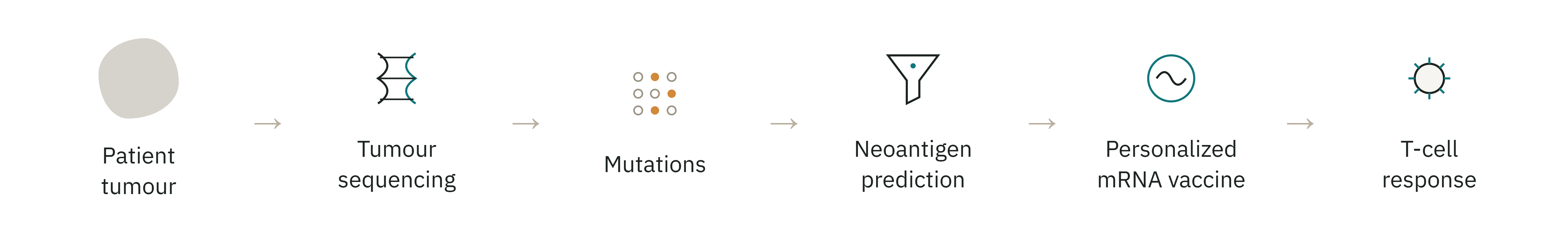 Pipeline from patient tumour to personalised mRNA vaccine