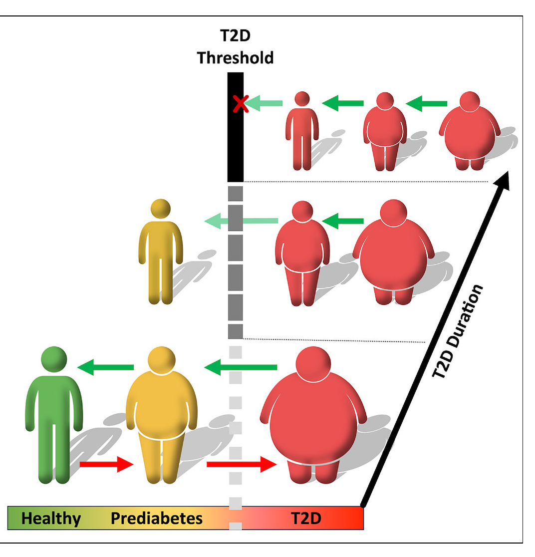 This figure is the graphical abstract of the paper and does not have a formal numbered caption.