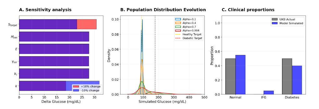 Fig. 3: Mechanistic insights and clinical verdict. (A) Tornado sensitivity analysis identifying primary drivers of the glucose steady state. (B) Alpha-sweep showing the mechanistic emergence of population bimodality. (C) Clinical proportions comparing simulated disease categories against the UK Biobank pilot.