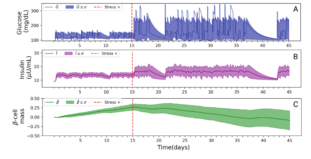 Fig. 1. Glucose(A), Insulin(B) and β-cell mean mass(C) dynamics simulation for 100 different cases during 45 days. The blue, purple and green bold line is the mean of the 100 different cases for glucose, insulin and β-cell mean mass, respectively. Each plot containing the bold line, also has an area around, representing the standard deviation between the 100 different cases relative to the mean. (A) Labeled on the y-axis, Glucose concentration in mgdL−1 units on an interval between 100 and 310. (B) Labeled on the y-axis, Insulin concentration in µU/L−1 units on an interval between 5 and 30. (C) Labeled on the y-axis, β-cell mass ratio on an interval between −1 and 1, with 0 being the baseline β-cell mass. All plots are on the same labeled x-axis, the time-span simulated in days. The red intermittent line represents the day of CS induction. The time-step between calculation of one time-point to the other in all the plots is 24/60/60 ≈ 0.0066 days.