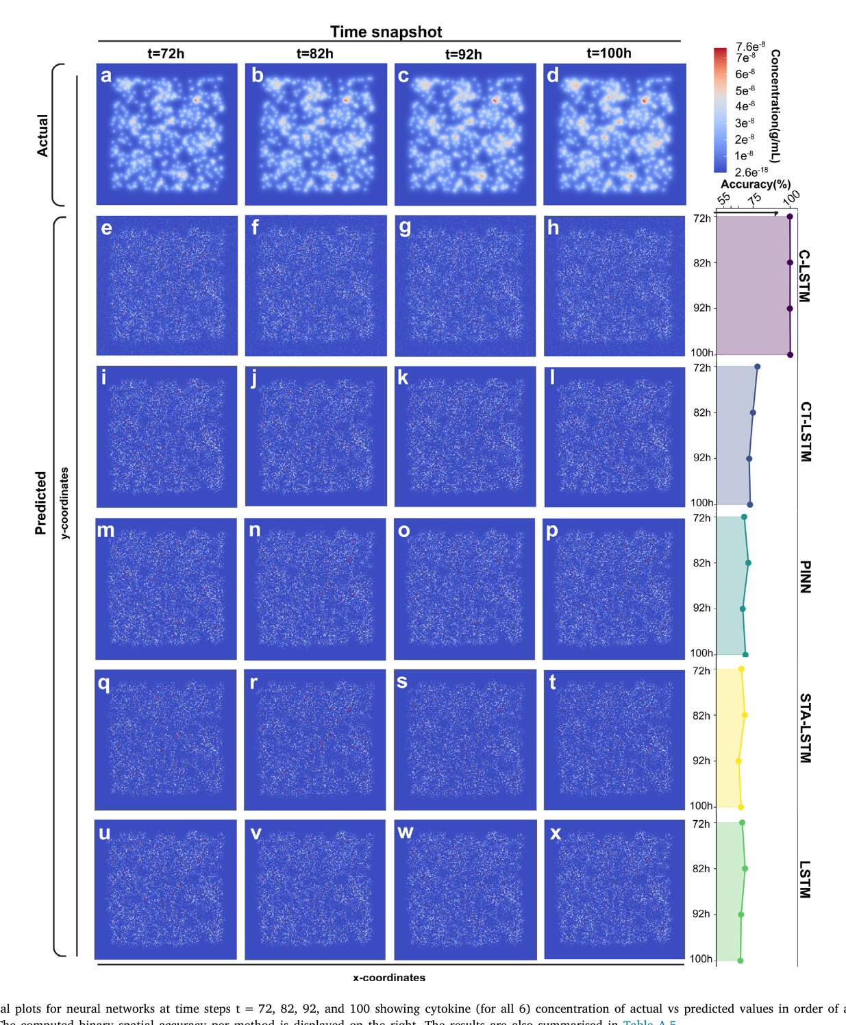 Fig. 3. Spatial plots for neural networks at time steps t = 72, 82, 92, and 100 showing cytokine (for all 6) concentration of actual vs predicted values in order of accuracy (top to bottom). The computed binary spatial accuracy per method is displayed on the right. The results are also summarised in Table A.5.