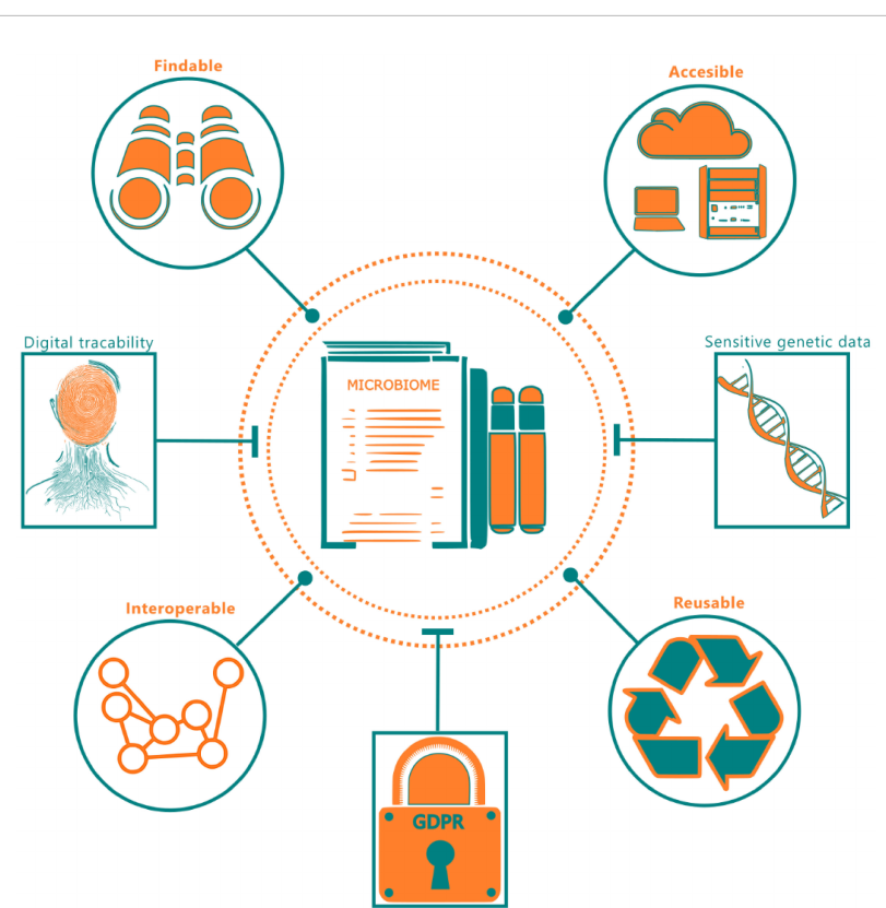 FIGURE 1
A summary of FAIR principles with respect to microbiome data. The end-dotted connections to microbiome data indicate the FAIR requirements and the instead connections indicate the practical considerations inhibiting FAIR deployment.