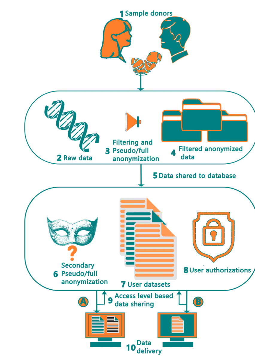 FIGURE 2 | Human microbiome data collection workflow and data transfer pipeline from the donors to end users. The raw data at step 2 includes Human Shotgun data, metadata and host-associated data such as age, ethnicity, health status.