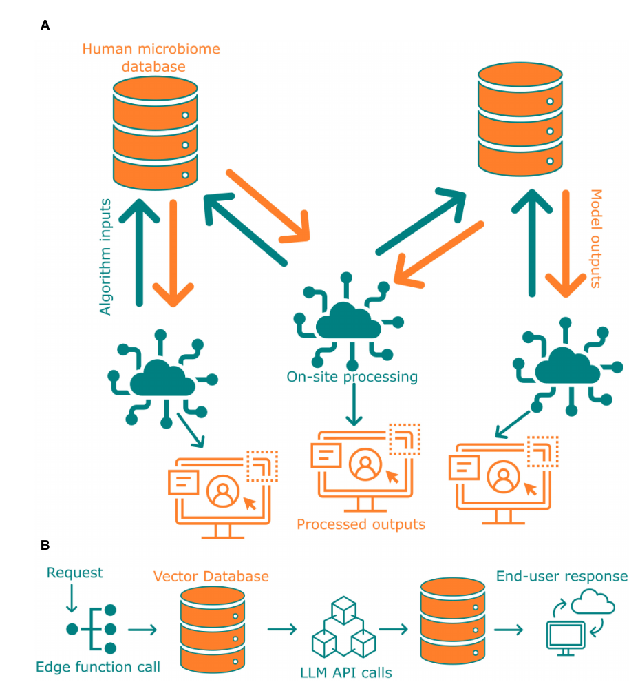FIGURE 5 (A) Pipeline of federated learning from two different databases that are not connected with each other. (B) Deployment of Large Language Model with Supabase via edge functions.