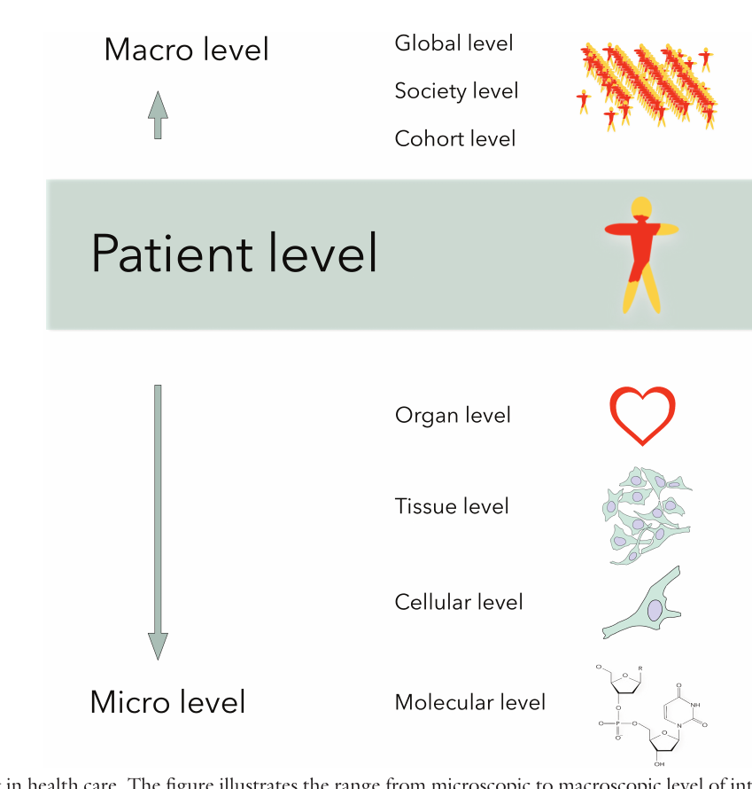 Figure 1. Multi-scaling in health care.