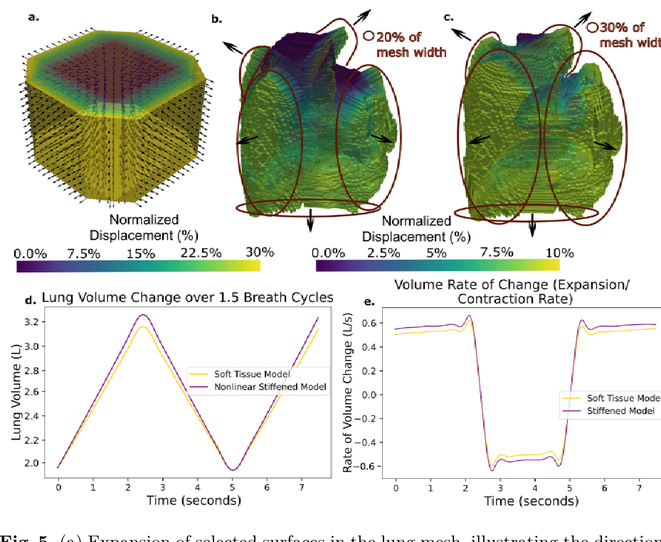 Fig. 5. (a) Expansion of selected surfaces in the lung mesh, illustrating the direction of expansion along four sides and the bottom surface, while the top surface remains fixed. (b, c) Applied expansion of 20% and 30% of the mesh surface width, respectively. The 20% expansion case shows localised deformation, whereas the 30% expansion leads to deformation across the entire lung. (d, e) Simulated lung volume and volume rate of change during breathing cycles.