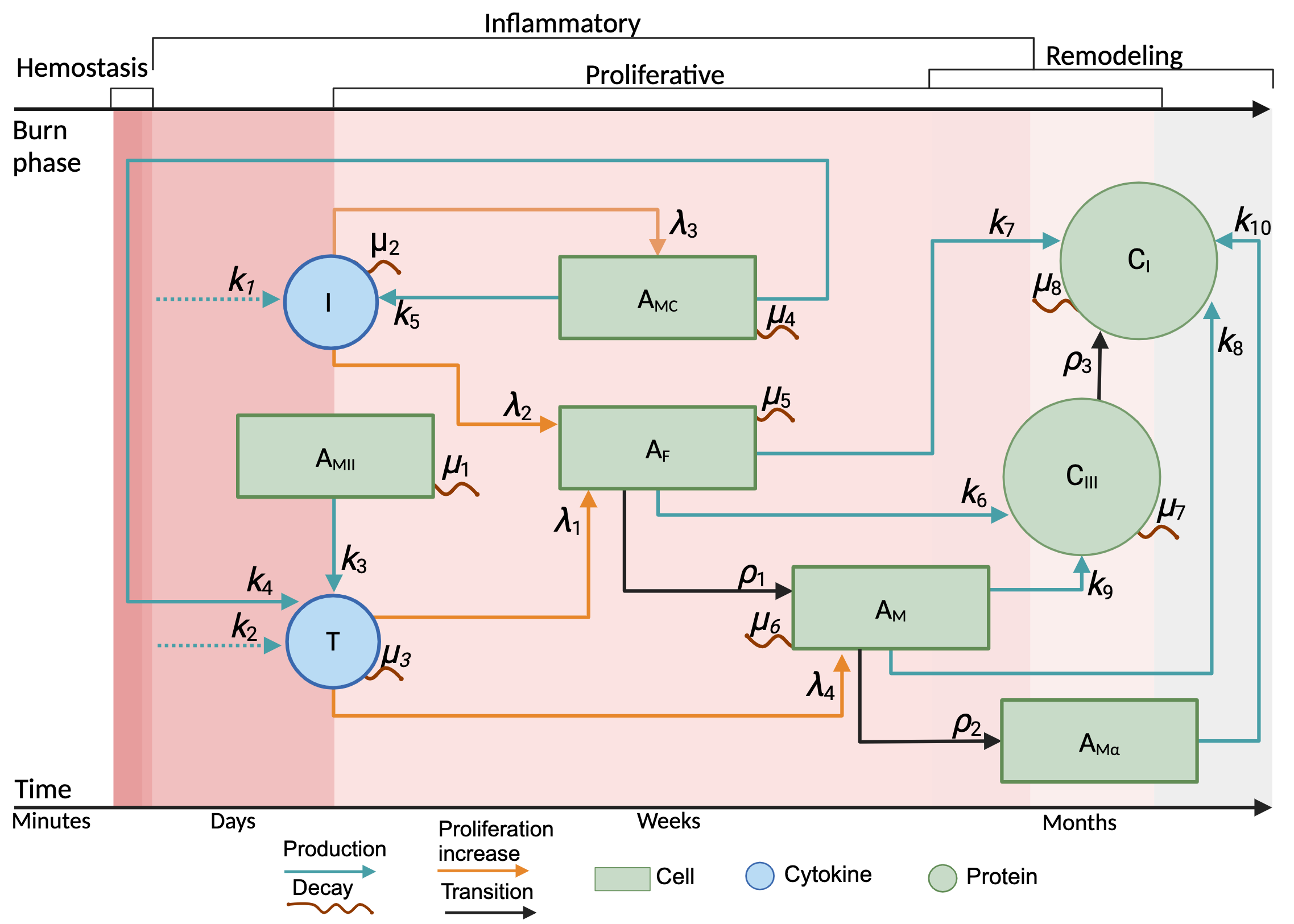 MechaProlif conceptual model