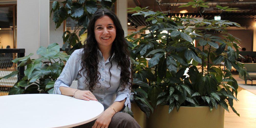 Amelia Soare cover photo